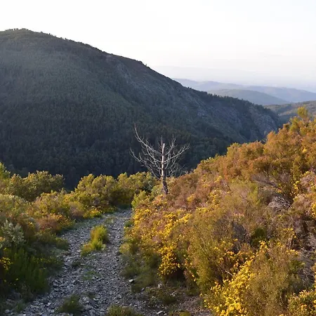 Casa Da Cerejinha Ferienhaus