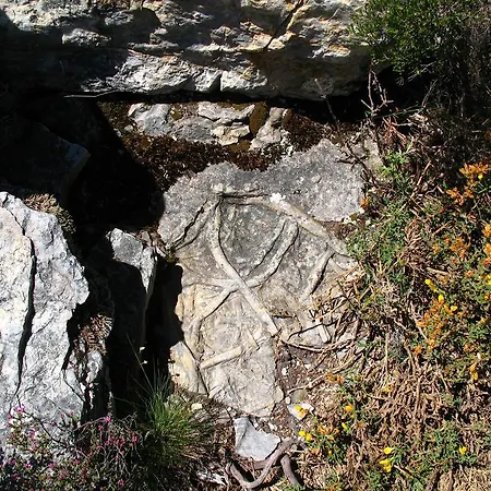 Ferienhaus Casa Da Cerejinha