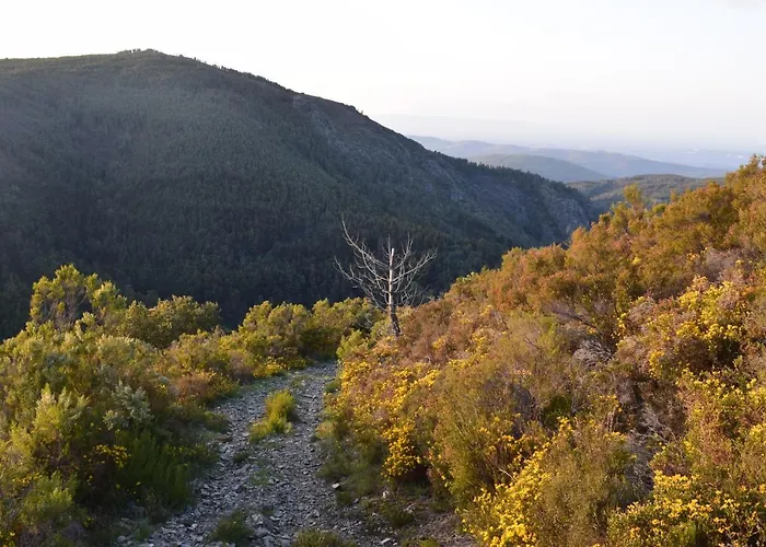 Casa Da Cerejinha Feriehus