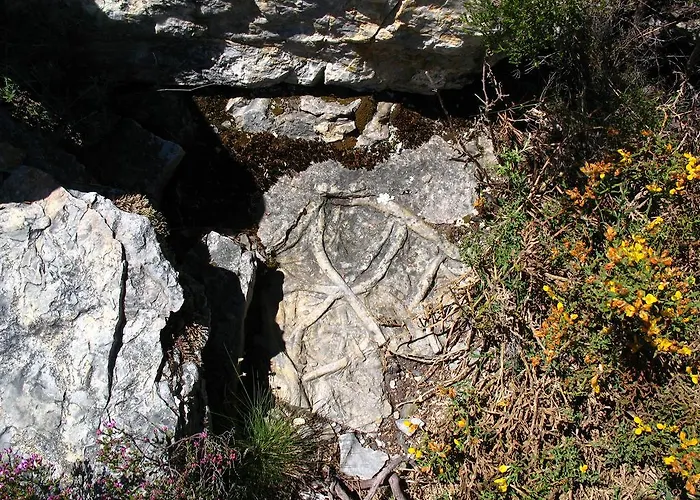 Ferienhaus Casa Da Cerejinha