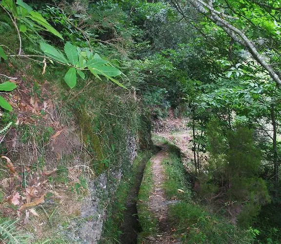 Ferienhaus Casa Da Cerejinha Góis