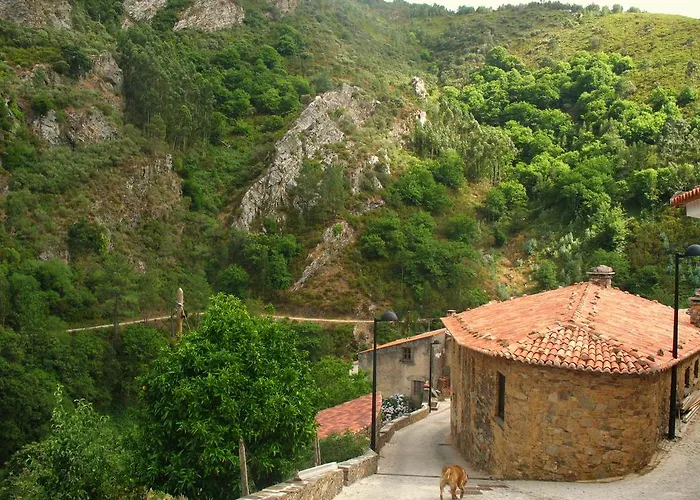 Feriehus Casa Da Cerejinha Góis